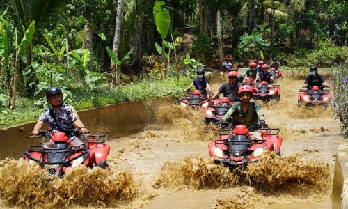 Jungle Swing and ATV Ride in Ubud